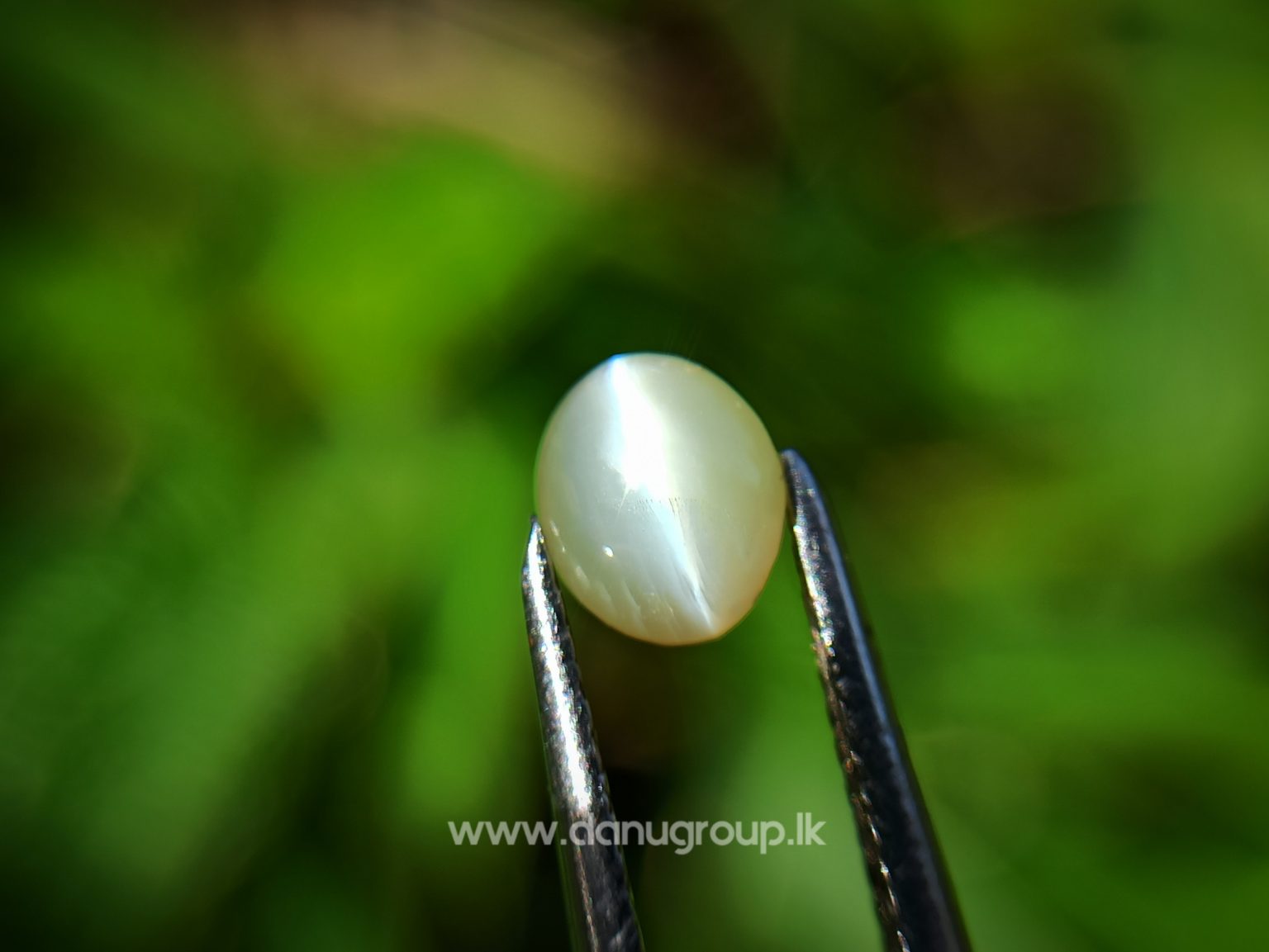 Ceylon Natural chrysoberyl cats eye from danu group light Greenish Yellow cats eye danugroup.lk