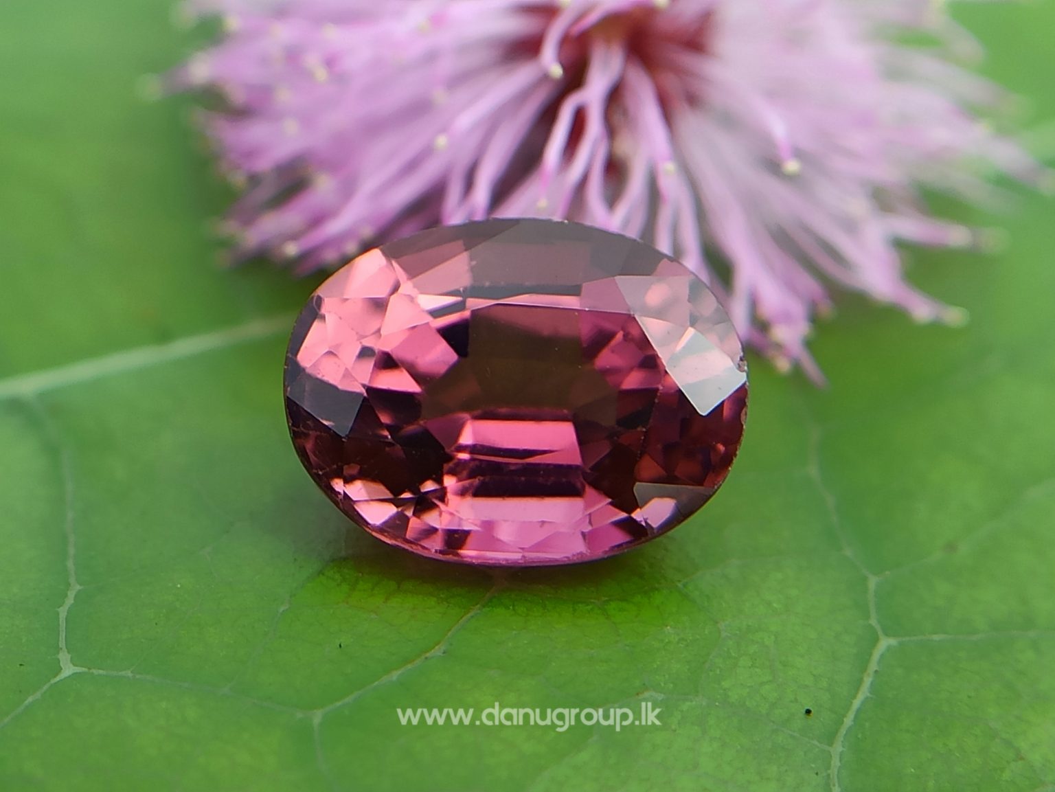 Natural Colour Change Tourmaline Changing Colour pink to orange danugroup.lk