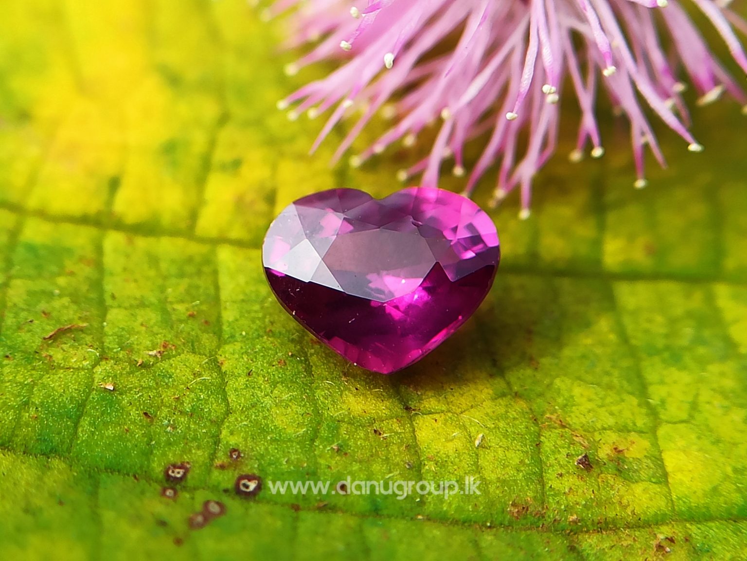 High Quality Ceylon Natural Hot Pink Sapphire - Danu Group Gemstones Collection danugroup.lk