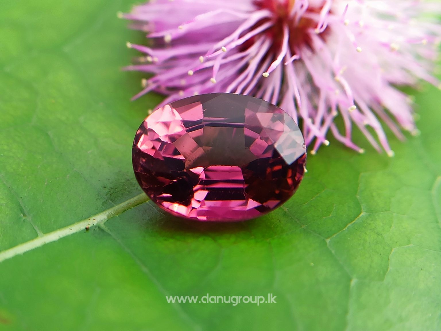 Natural Colour Change Tourmaline Changing Colour pink to orange danugroup.lk