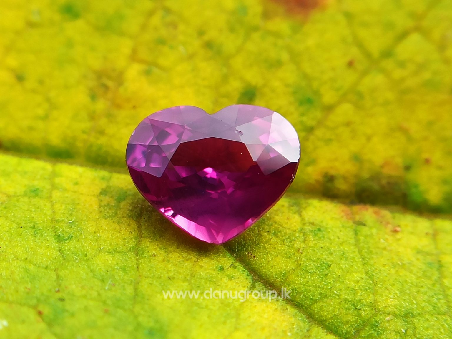 High Quality Ceylon Natural Hot Pink Sapphire - Danu Group Gemstones Collection danugroup.lk