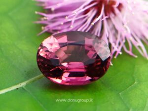 Natural Colour Change Tourmaline Changing Colour pink to orange danugroup.lk