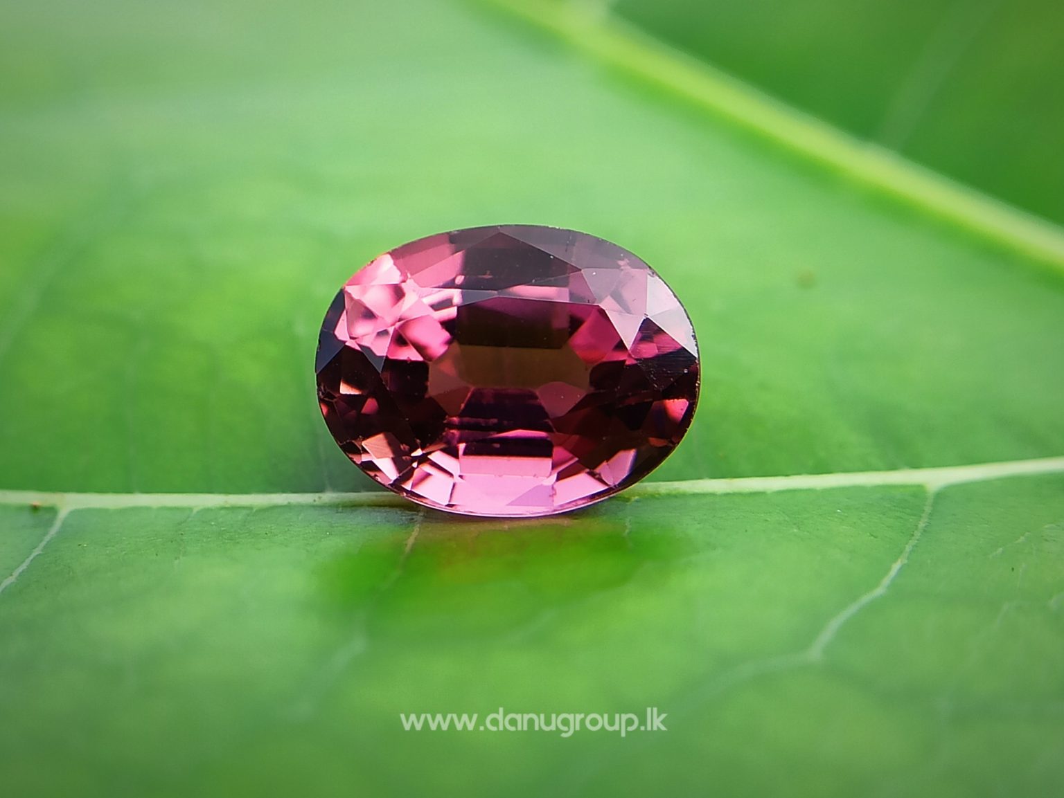 Natural Colour Change Tourmaline Changing Colour pink to orange danugroup.lk