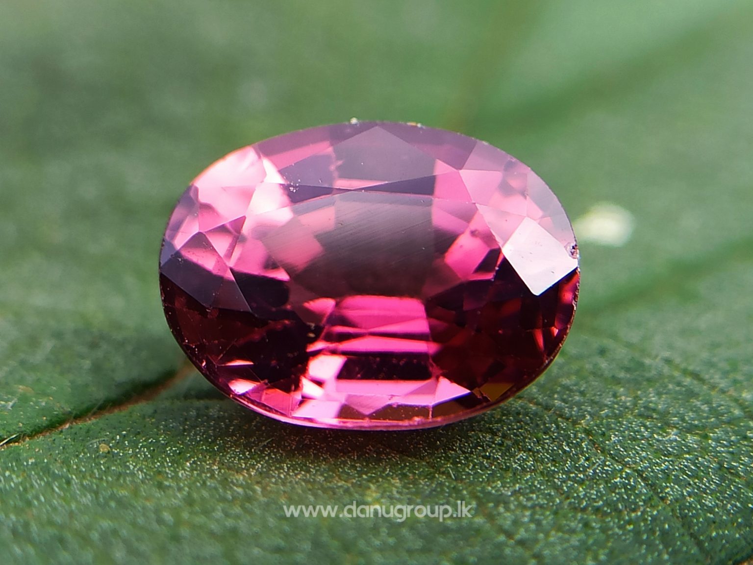 Natural Colour Change Tourmaline Changing Colour pink to orange danugroup.lk
