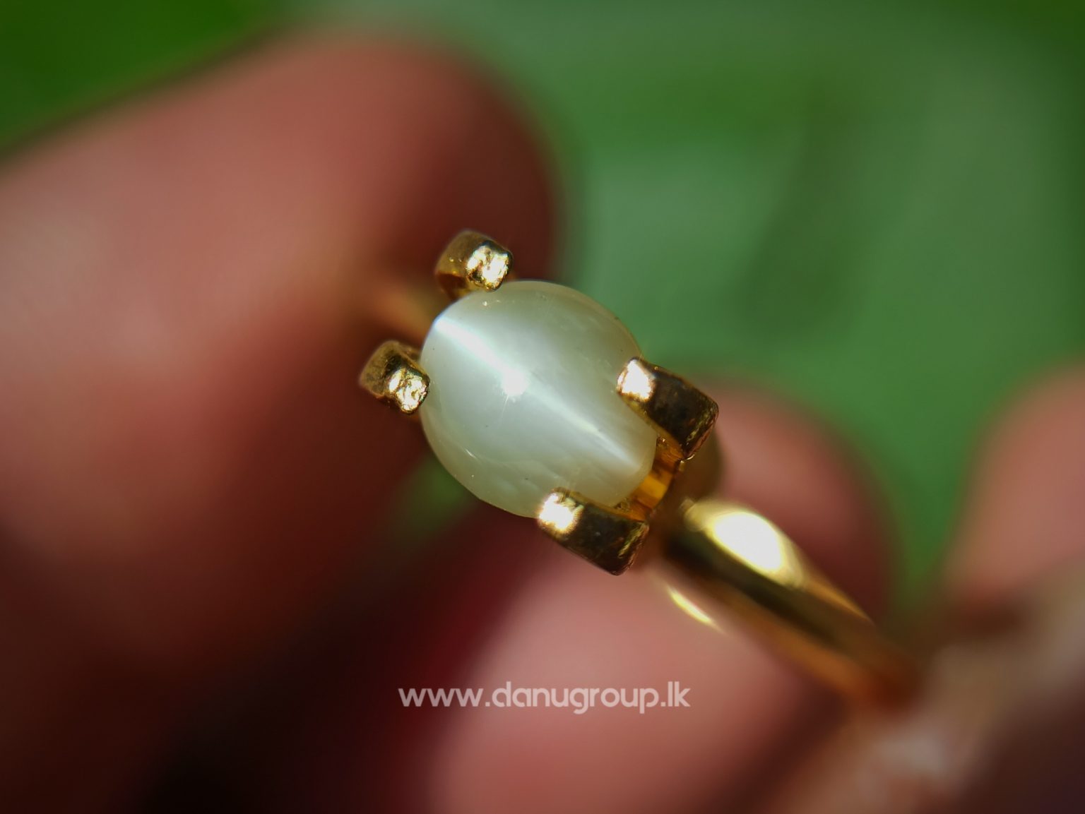 Ceylon Natural chrysoberyl cats eye from danu group light Greenish Yellow cats eye danugroup.lk
