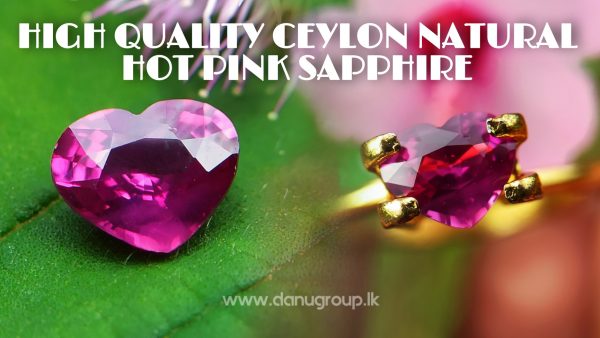 High Quality Ceylon Natural Hot Pink Sapphire - Danu Group Gemstones Collection danugroup.lk