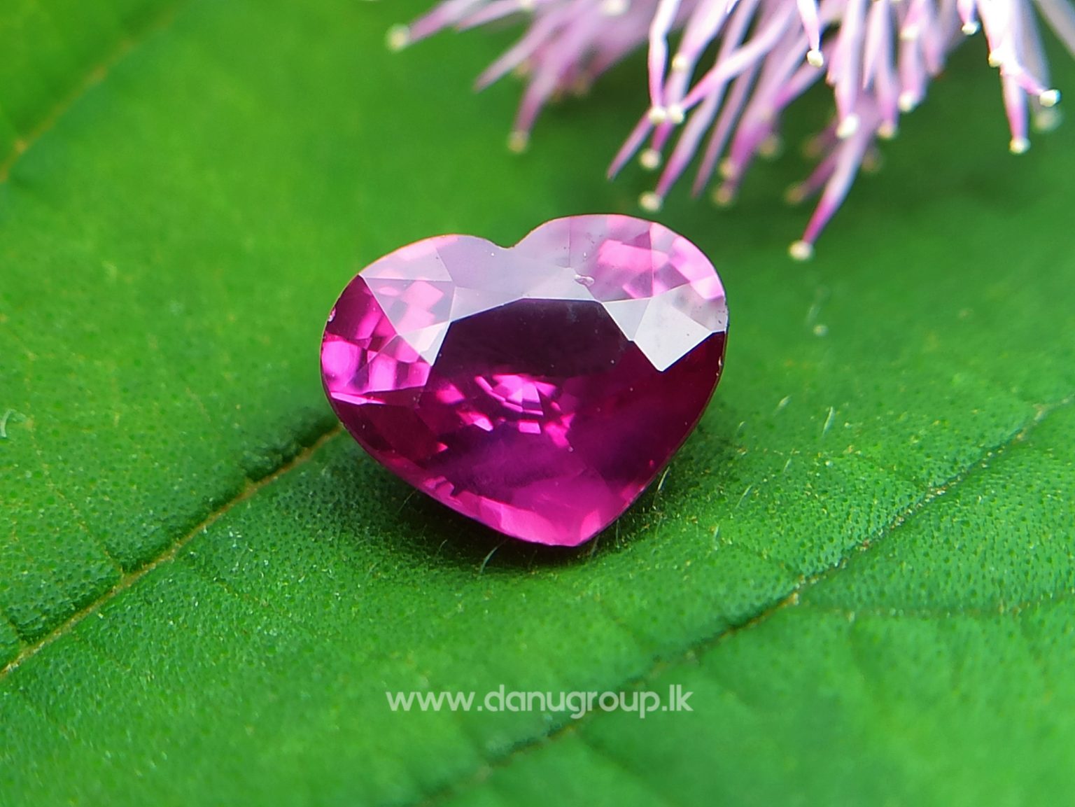 High Quality Ceylon Natural Hot Pink Sapphire - Danu Group Gemstones Collection danugroup.lk
