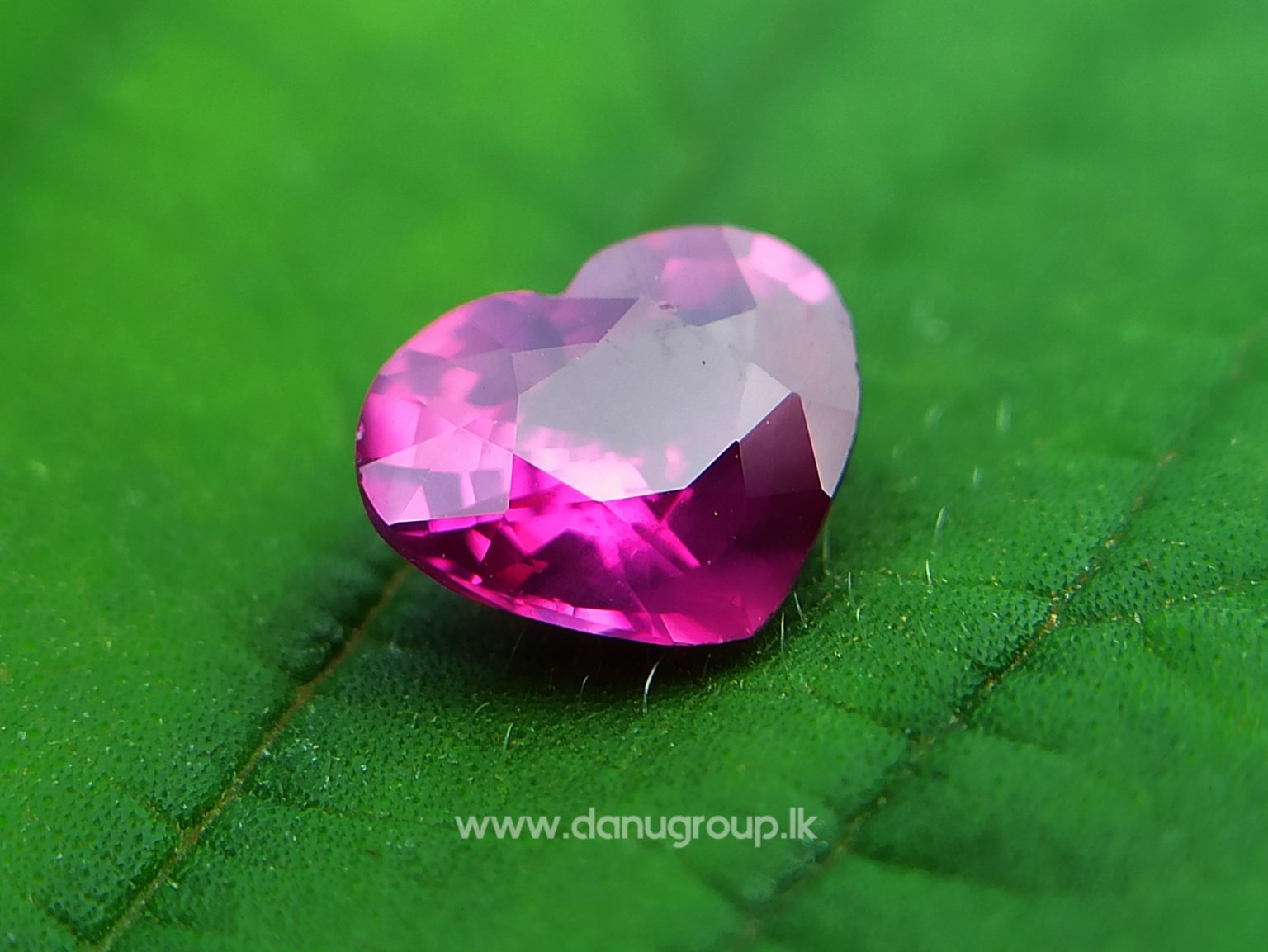 High Quality Ceylon Natural Hot Pink Sapphire - Danu Group Gemstones Collection danugroup.lk