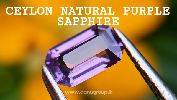 Ceylon Natural Pinkish-Purple Sapphire from Danu Group - One of the best calm colour from mother nature- danugroup.lk