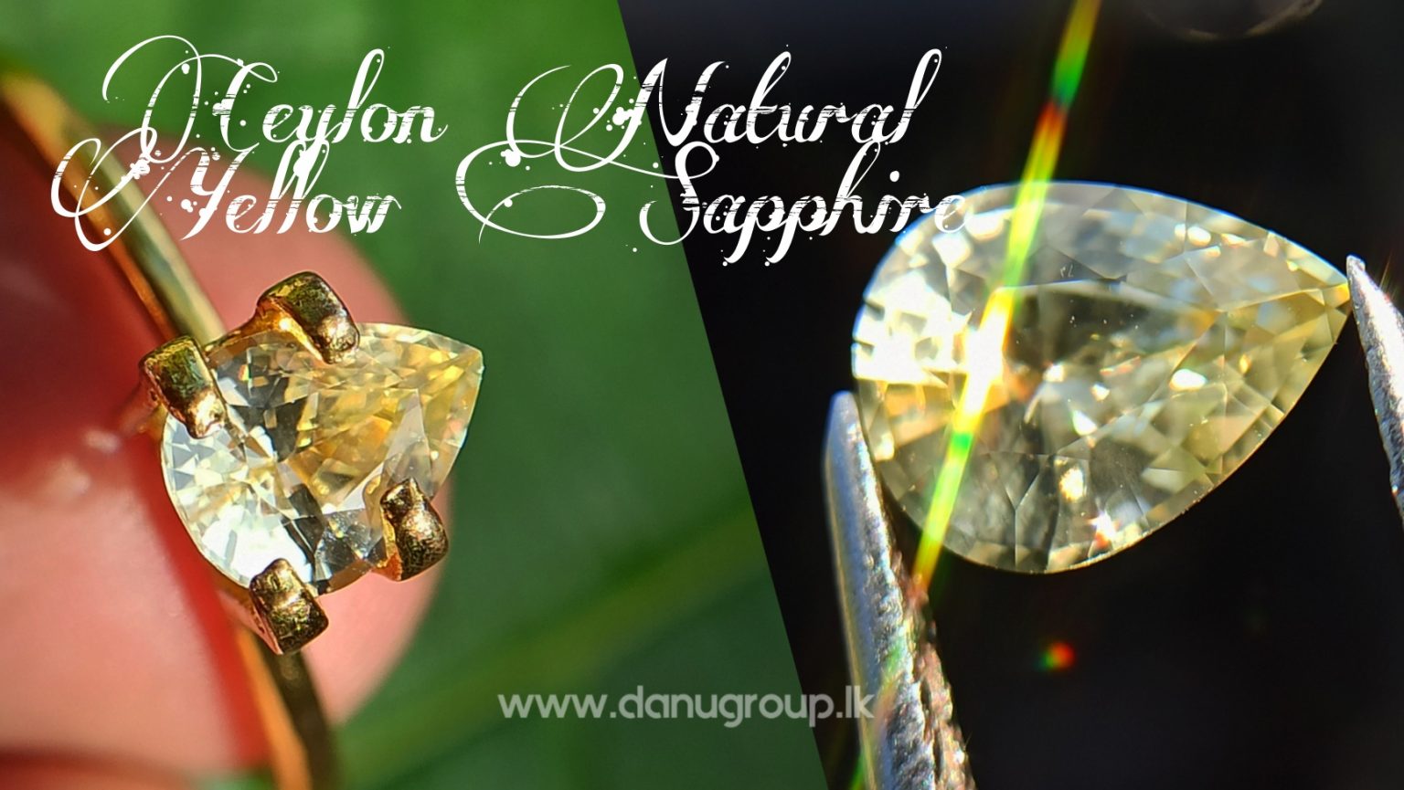 Ceylon Natural Yellow Sapphire drop shape Gemstone with Amazing Lustre danugroup.lk
