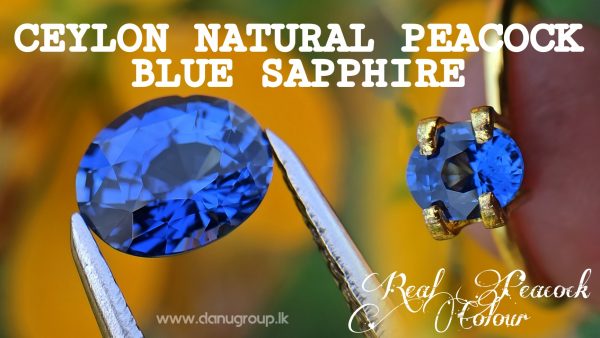 Real Old Peacock Colour - Ceylon Natural Peacock Blue Sapphire from Danu Group Gemstones Collection - danugroup.lk