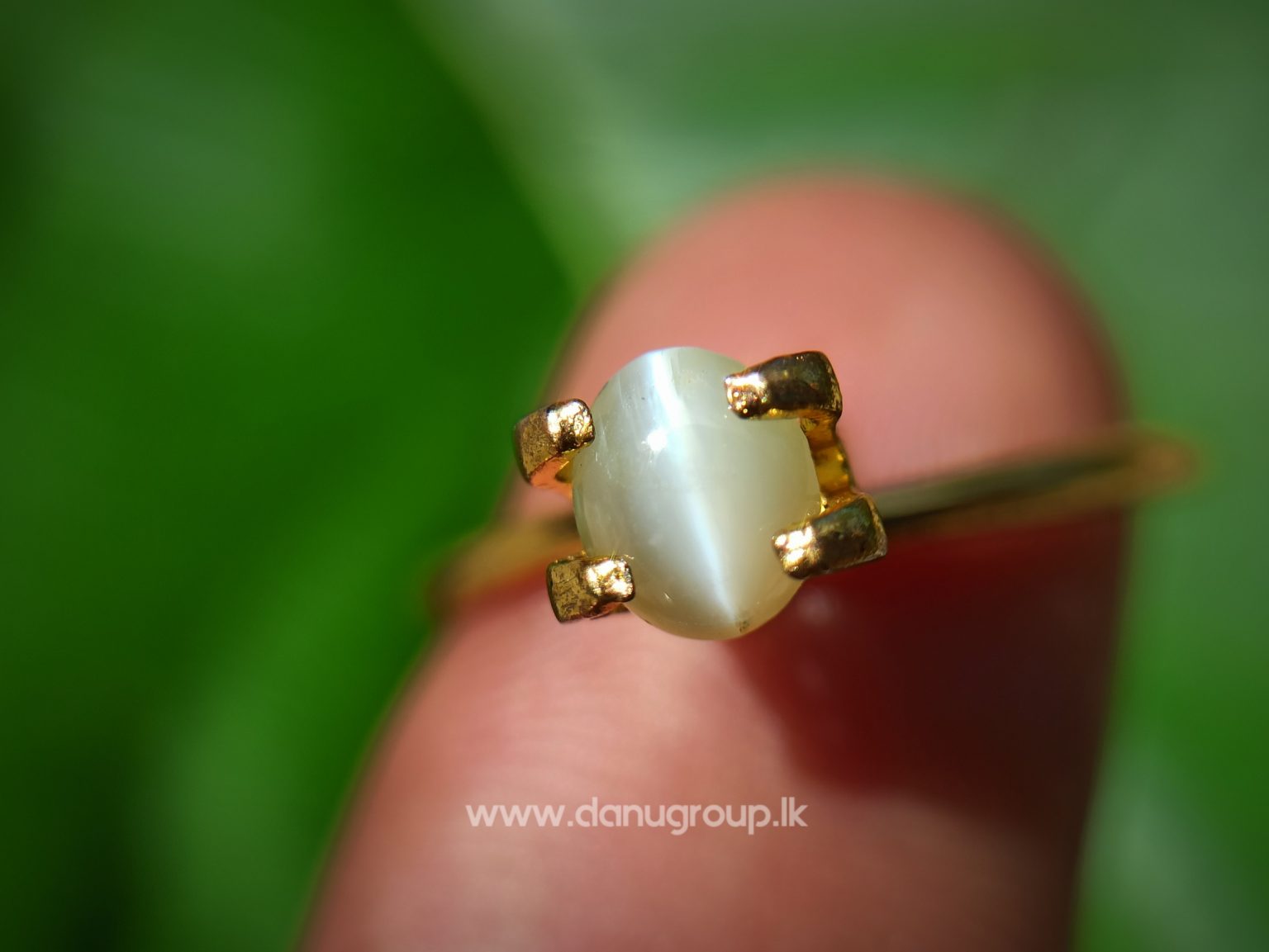 Ceylon Natural chrysoberyl cats eye from danu group light Greenish Yellow cats eye danugroup.lk