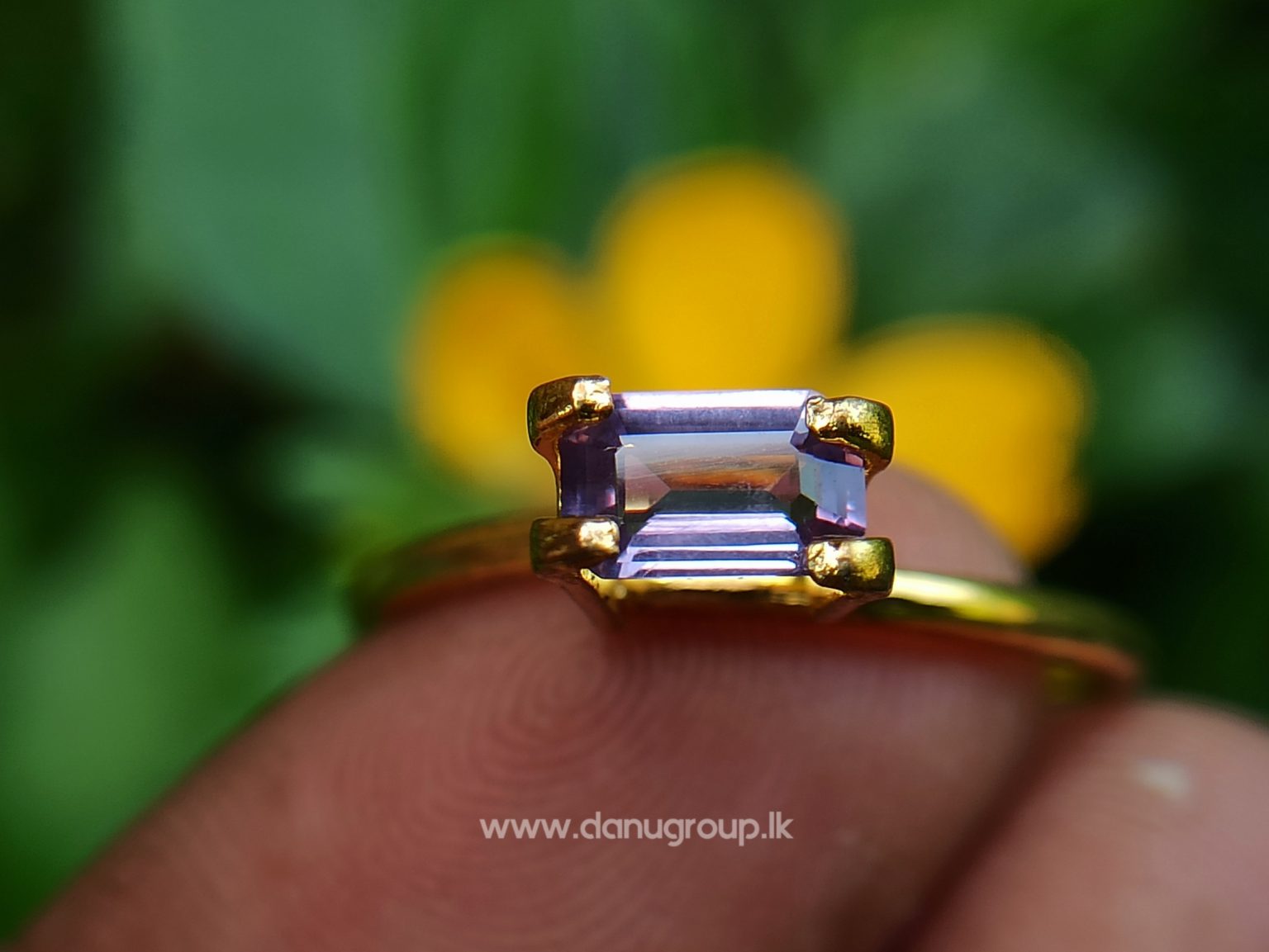 Ceylon Natural Pinkish-Purple Sapphire from Danu Group - One of the best calm colour from mother nature- danugroup.lk