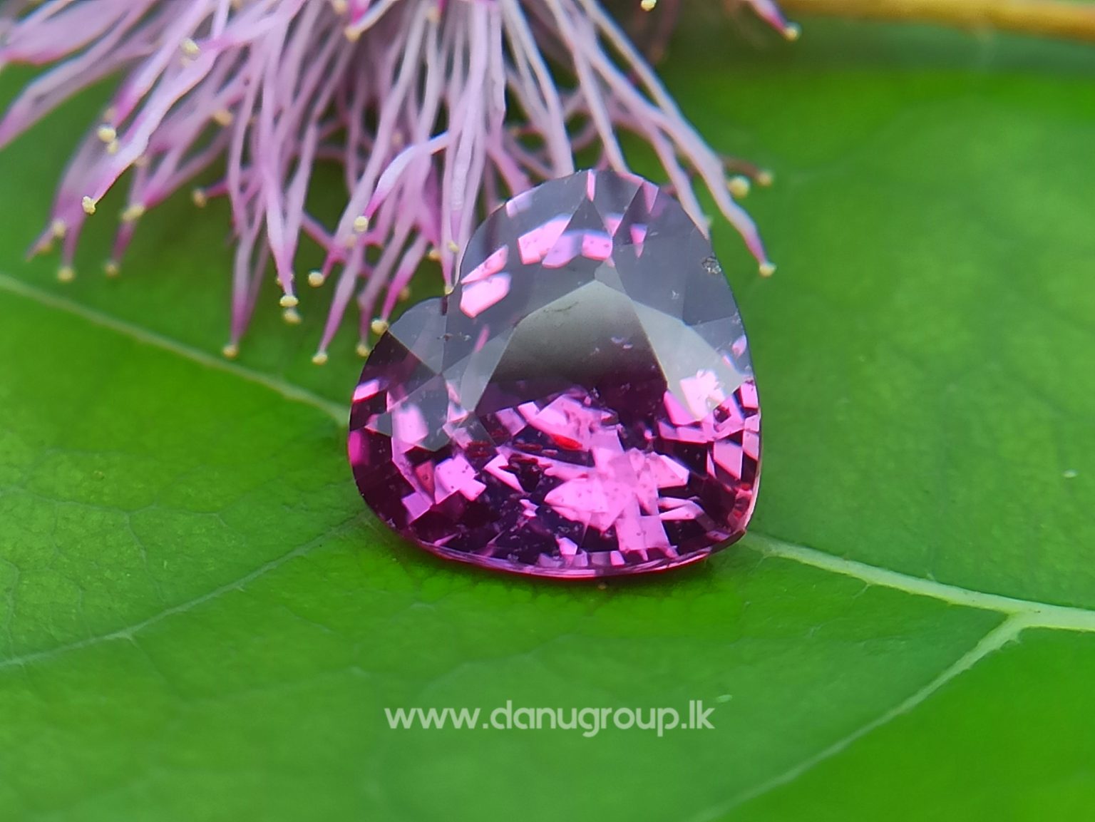 Ceylon Natural Vivid Pinkish Purple Sapphire Daju Group Gemstones Collections danugroup.lk