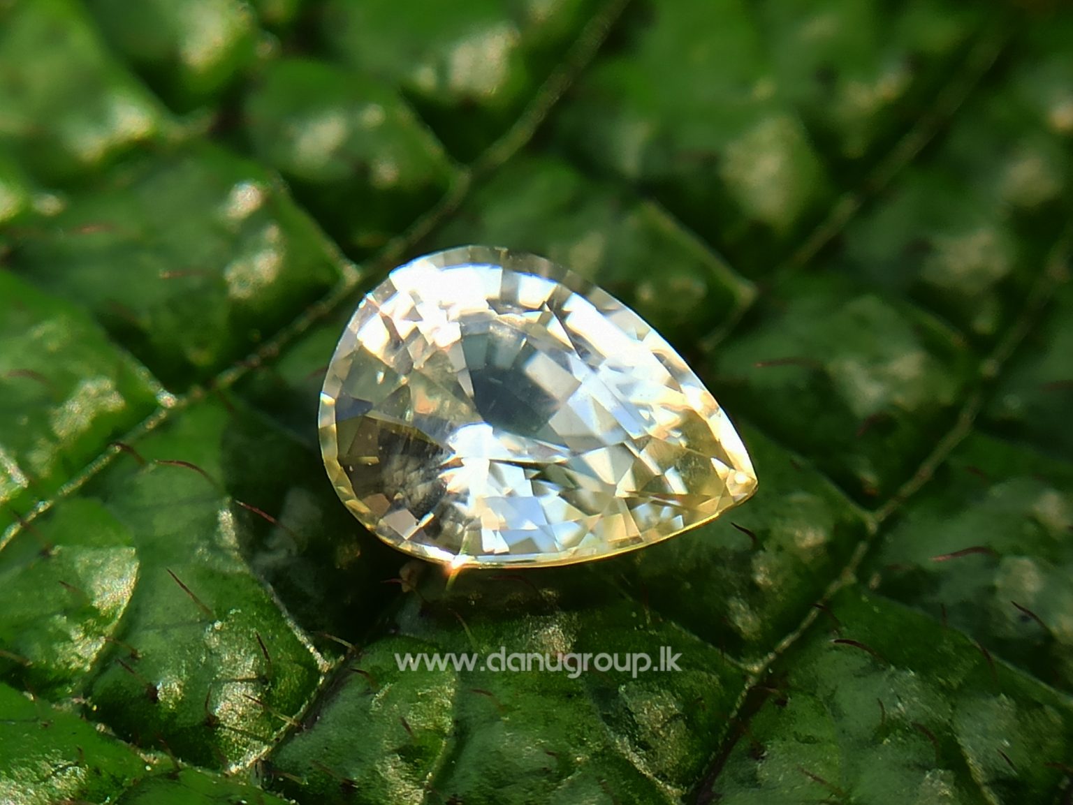 Ceylon Natural Yellow Sapphire drop shape Gemstone with Amazing Lustre danugroup.lk