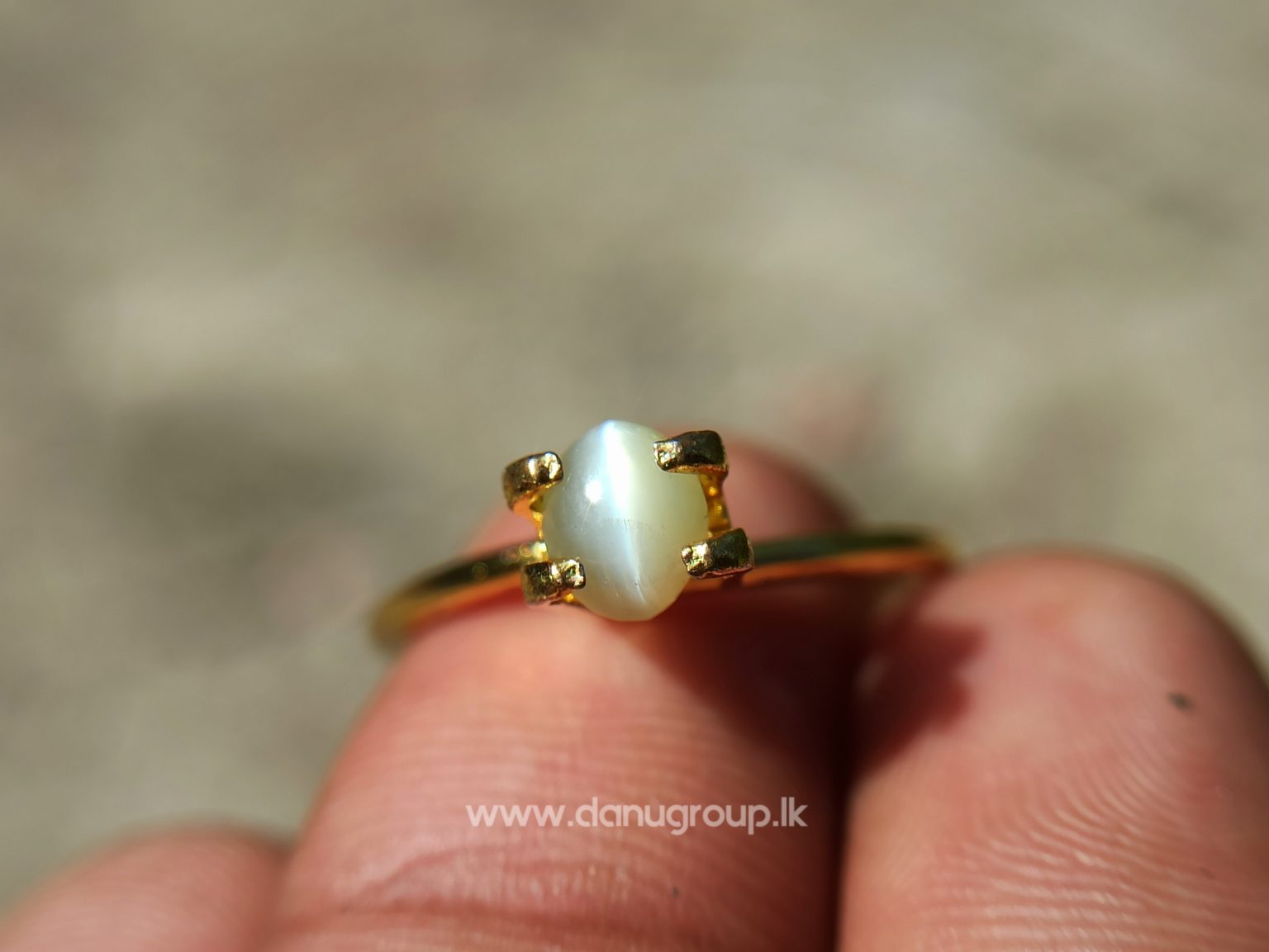 Ceylon Natural chrysoberyl cats eye from danu group light Greenish Yellow cats eye danugroup.lk