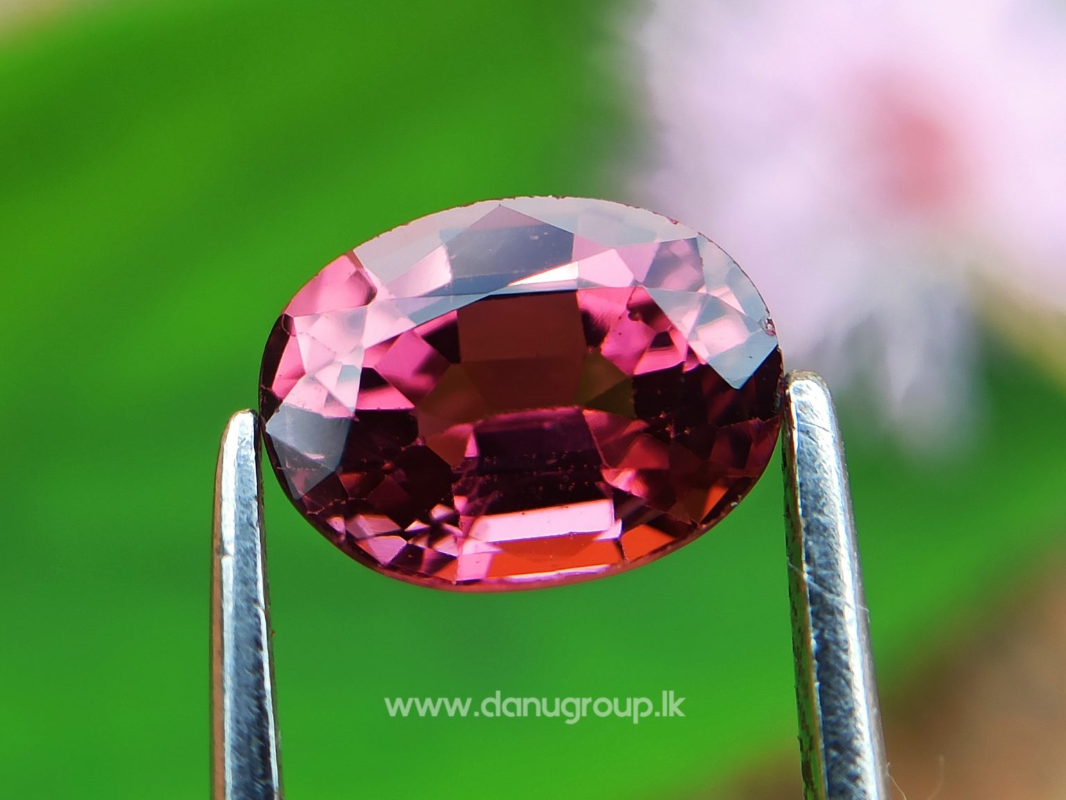 Natural Colour Change Tourmaline Changing Colour pink to orange danugroup.lk