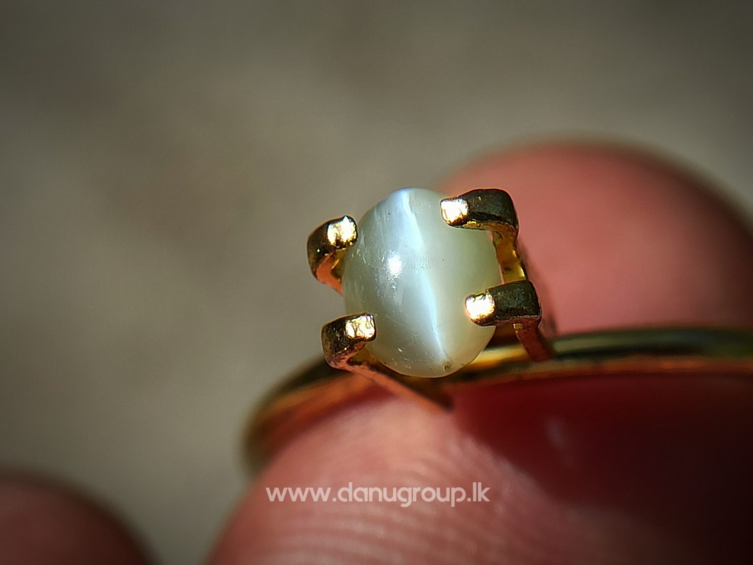 Ceylon Natural chrysoberyl cats eye from danu group light Greenish Yellow cats eye danugroup.lk