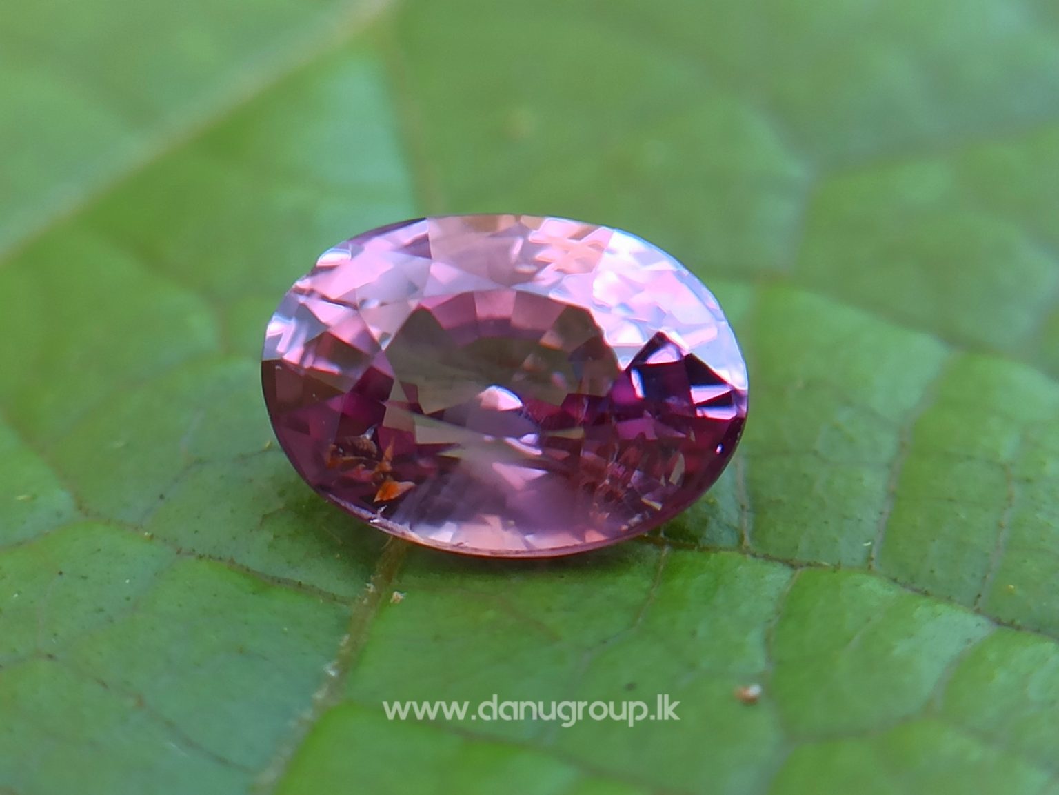 Natural Brownish Purple Sapphire Oval shape gem from Danu Group - danugroup.lk