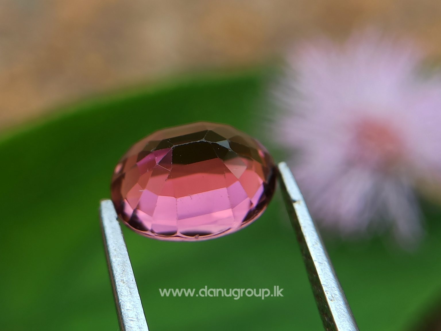 Natural Colour Change Tourmaline Changing Colour pink to orange danugroup.lk