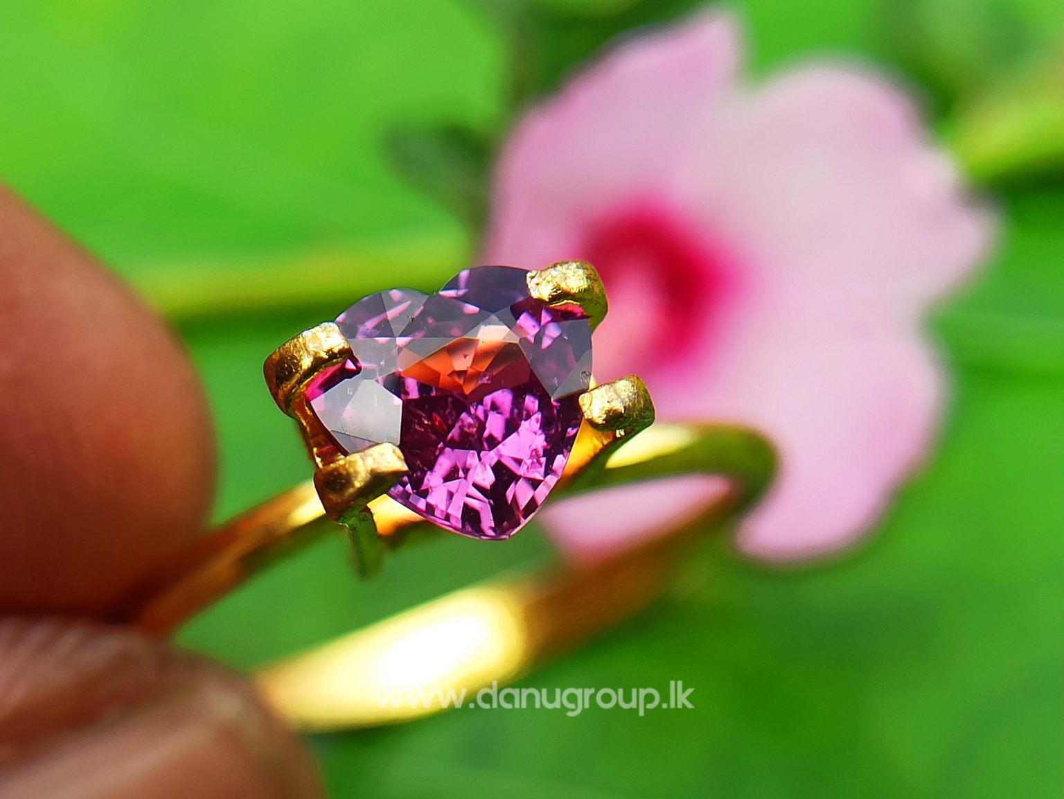 Ceylon Natural Vivid Pinkish Purple Sapphire Daju Group Gemstones Collections danugroup.lk