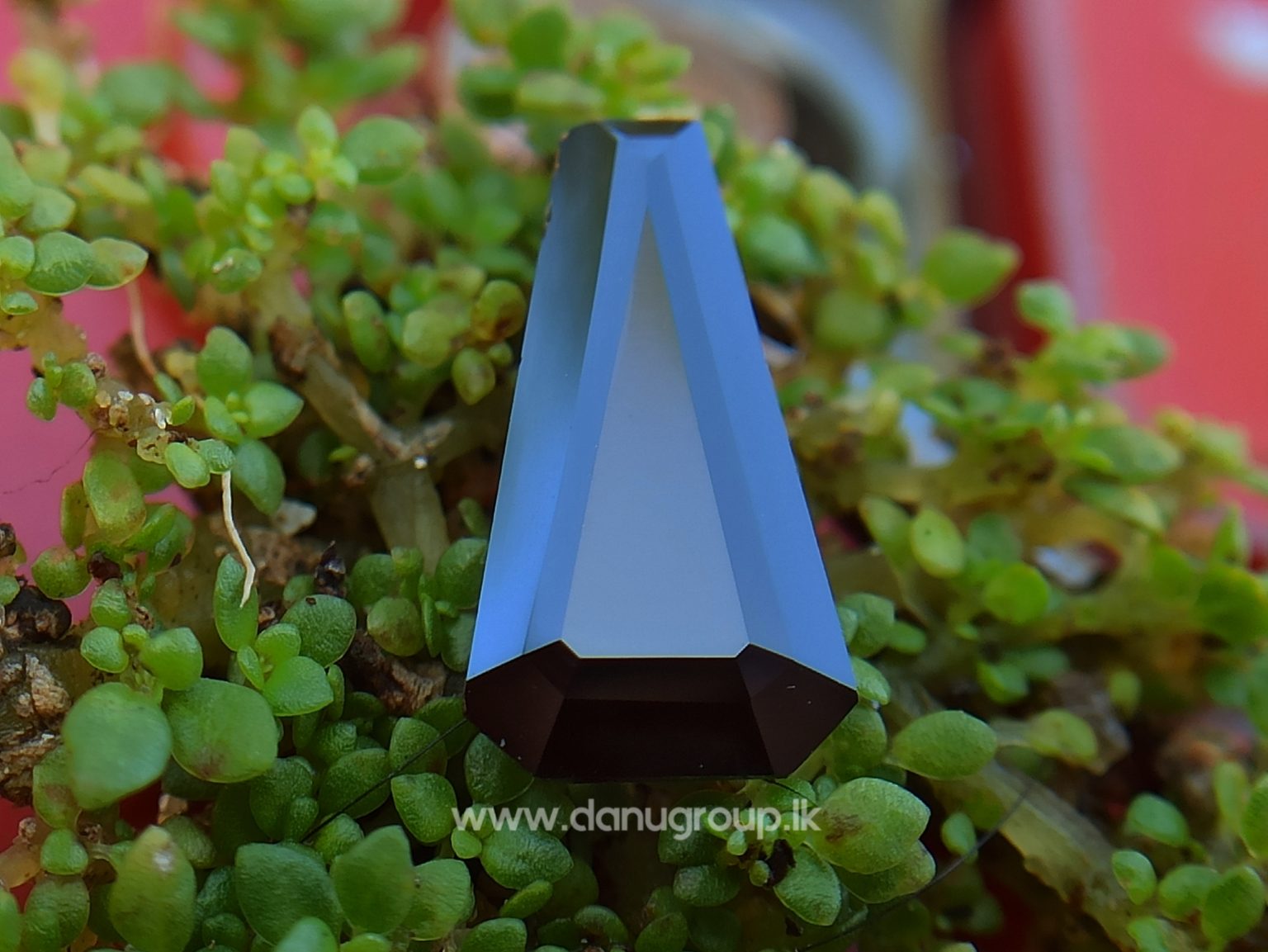 Ceylon Natural Dark Blue Sappphire Kaaka Neelam stone of planet saturn astrological gem danugroup.lk