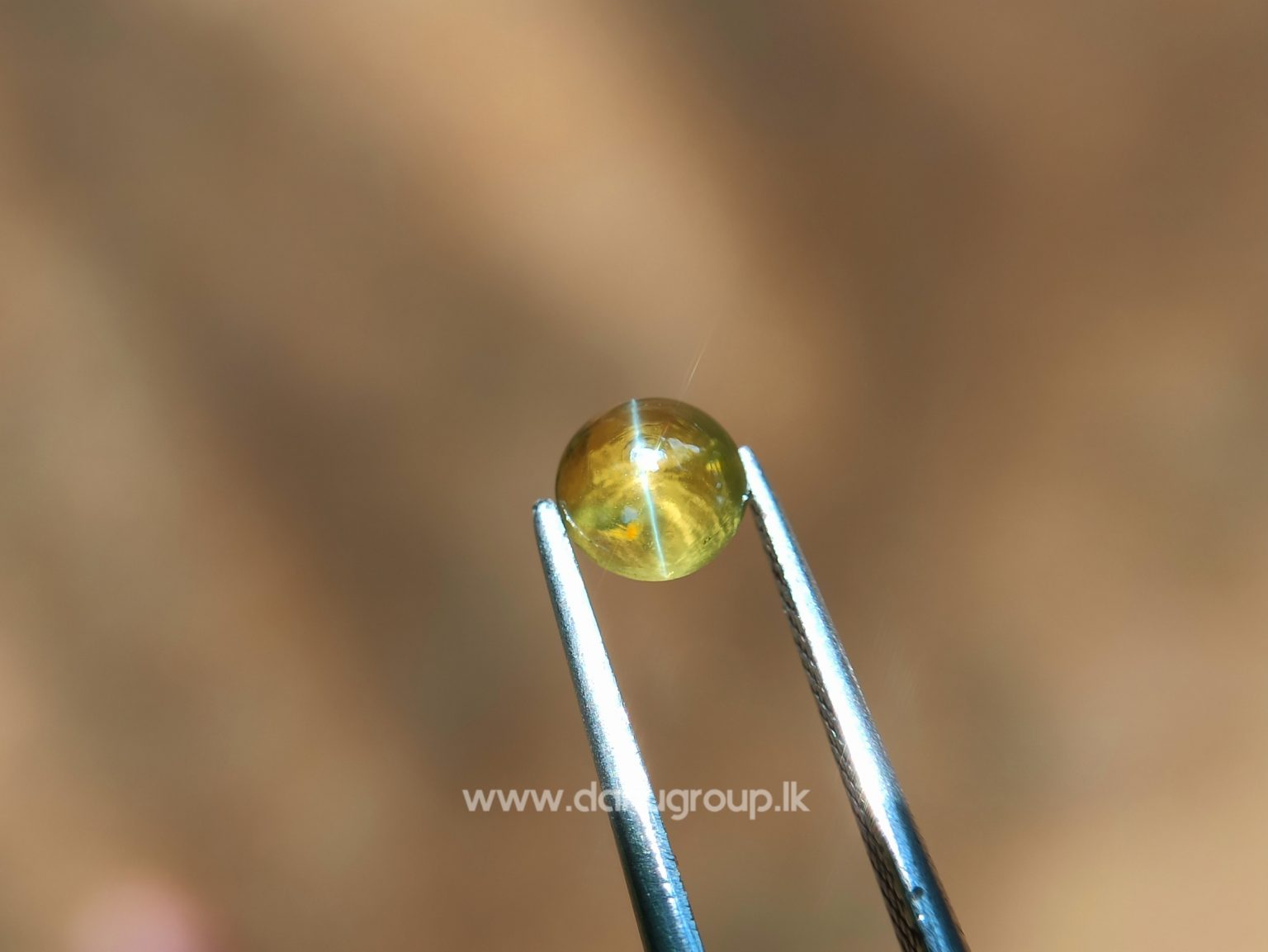 Ceylon Natural Chrysoberyl Cats eye from Danu Group