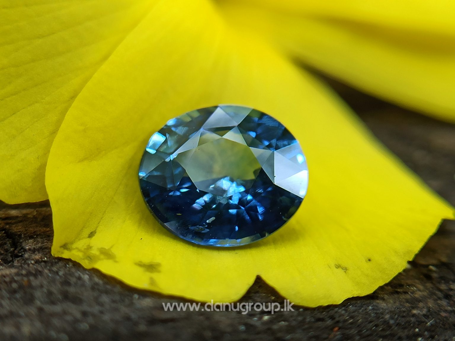 Ceylon Natural Unheated Blue Sapphire Oval Shape Stone from Danu Group -danugroup.lk