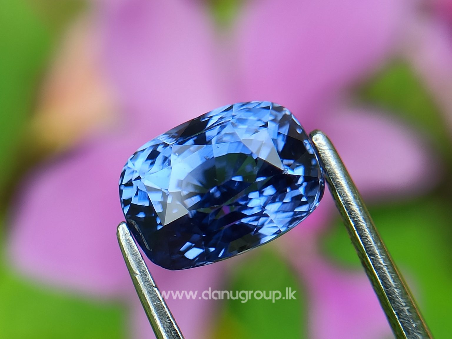 High Quality Ceylon Natural Cornflower Blue Sapphire Cushion Shape Unheated Stone from Danu Group Mining - danugroup.lk
