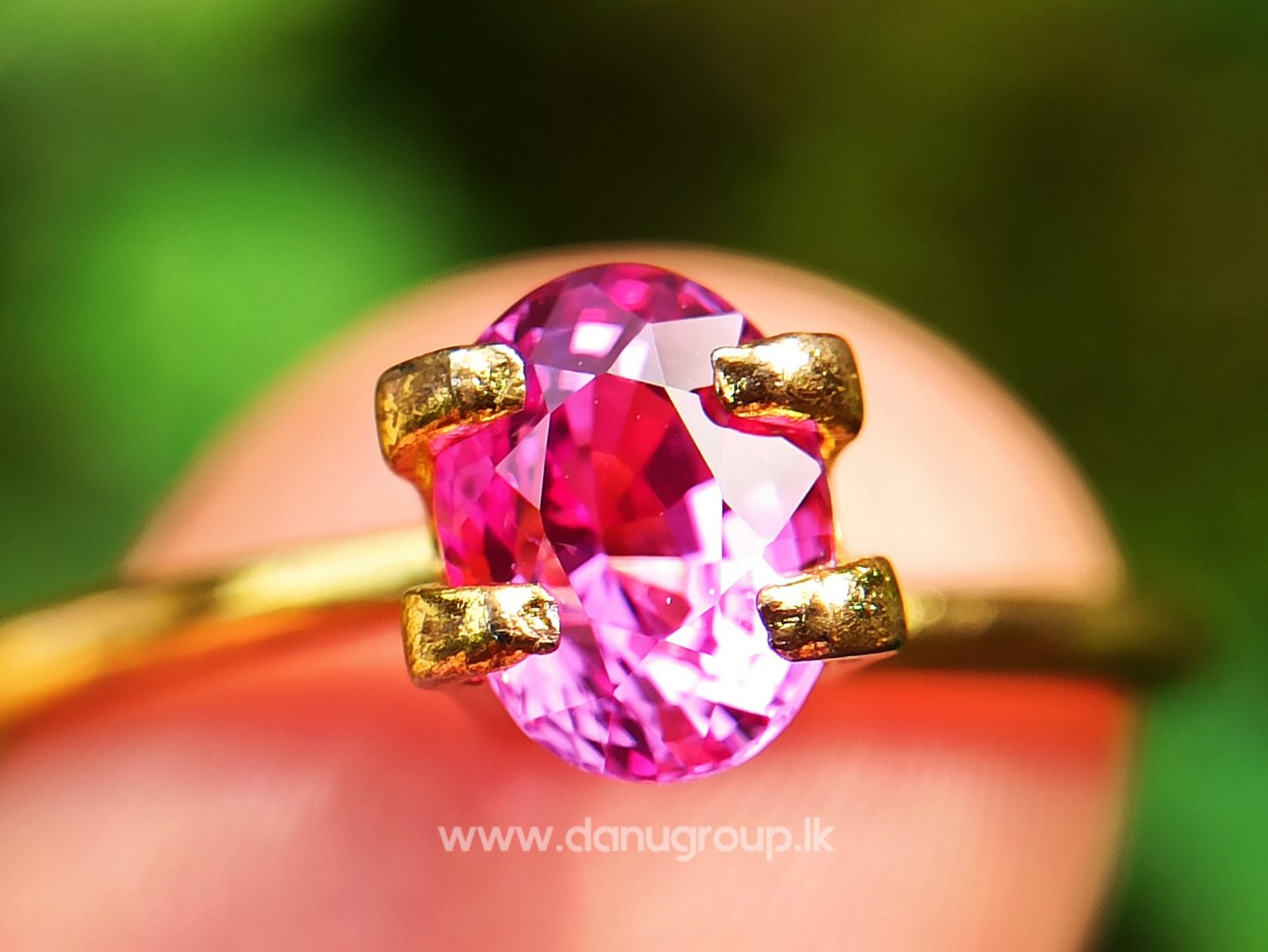 Remarkable Pink Colour In Ceylon Sapphire - Vivid Pink sapphire from Danu Group high quality ceylon sapphire - danugroup.lk