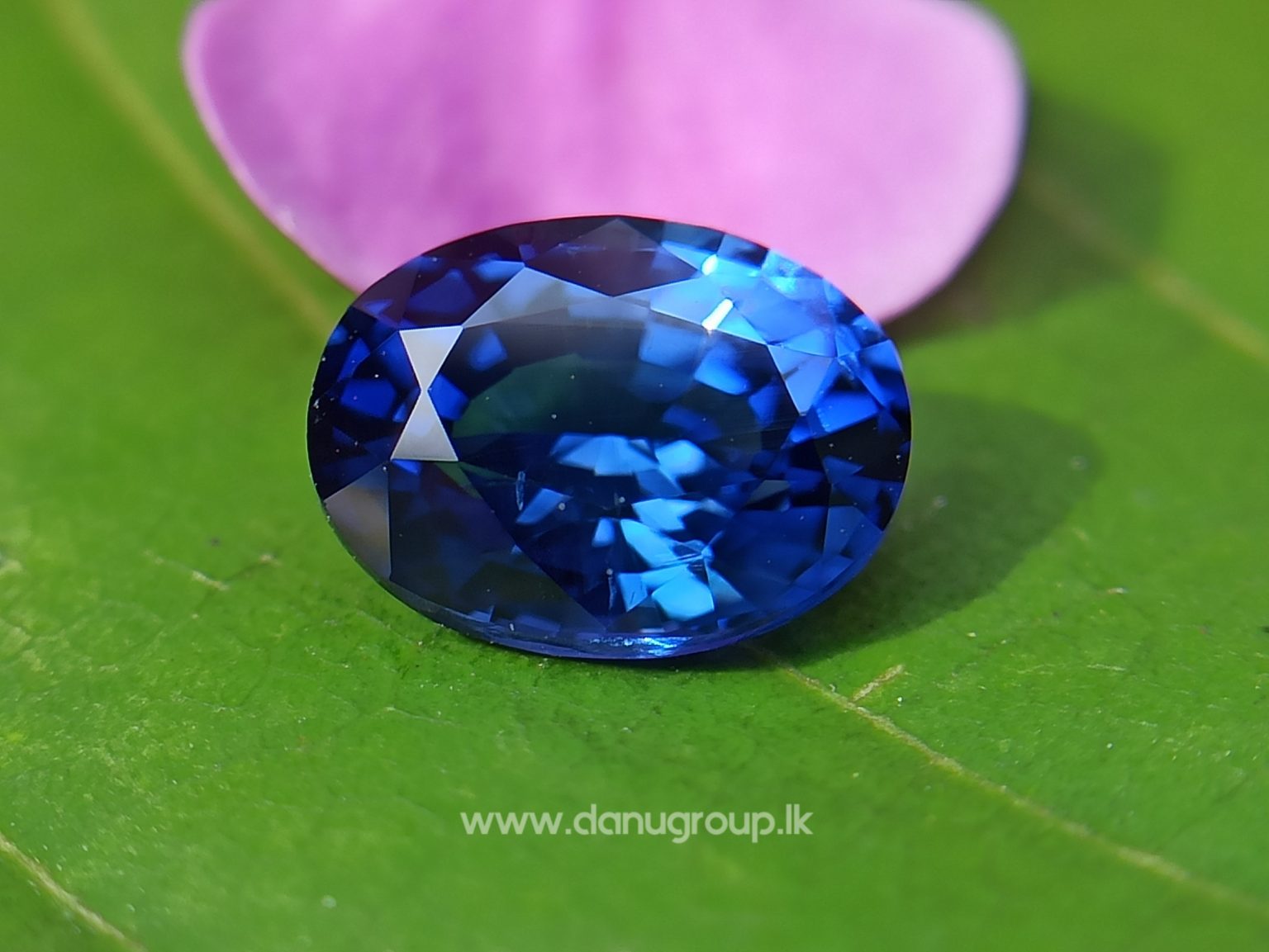 Remarkable Royal blue Colour in Sapphire - Vivid Royal Blue Sapphire Oval shape gem from Danu Group - danugroup.lk
