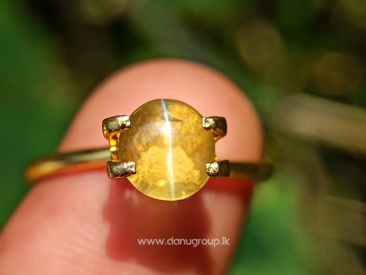 Ceylon Natural High Quality Chrysoberyl Cats Eye from Danu Group