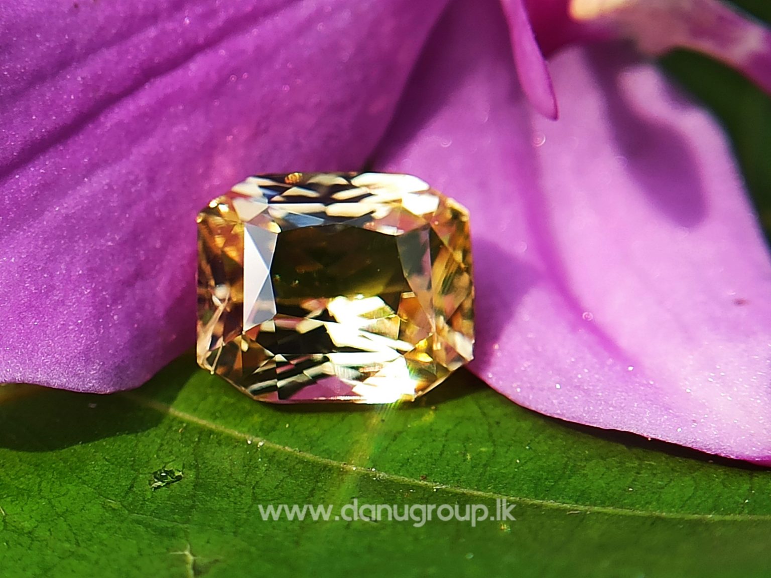Ceylon Natural Vivid Yellow Sapphire Scissors Cut High Quality Gemstone with Brilliance Lustre - danugroup.lk