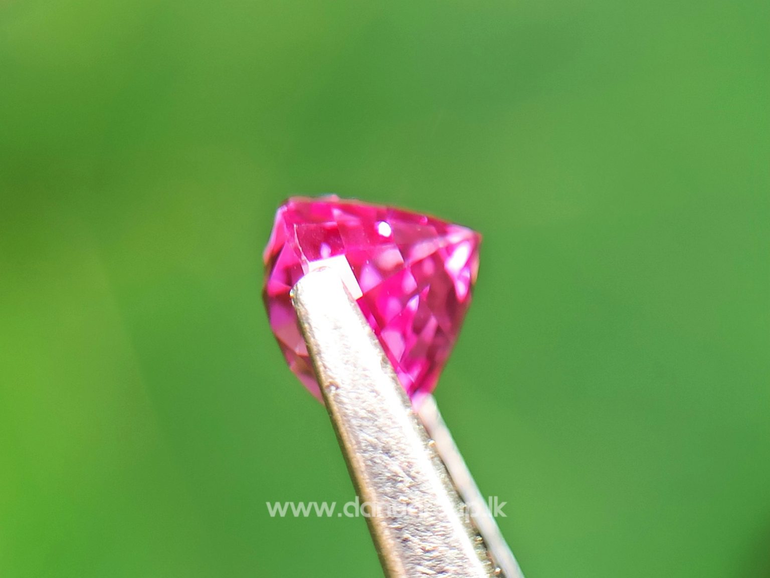 Remarkable Pink Colour In Ceylon Sapphire - Vivid Pink sapphire from Danu Group high quality ceylon sapphire - danugroup.lk