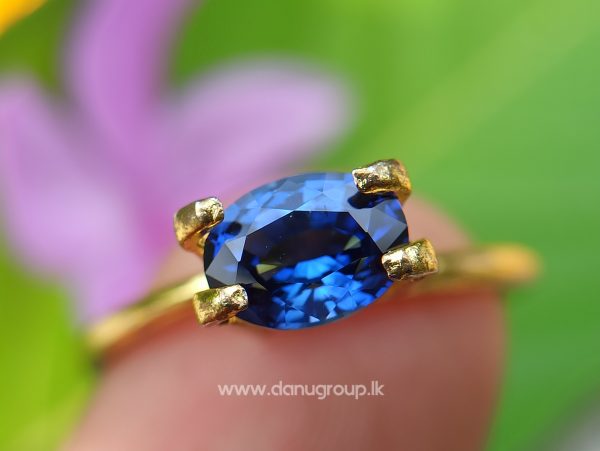 Remarkable Royal blue Colour in Sapphire - Vivid Royal Blue Sapphire Oval shape gem from Danu Group - danugroup.lk
