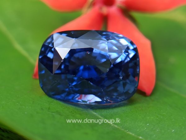 High Quality Ceylon Natural Cornflower Blue Sapphire Cushion Shape Unheated Stone from Danu Group Mining - danugroup.lk
