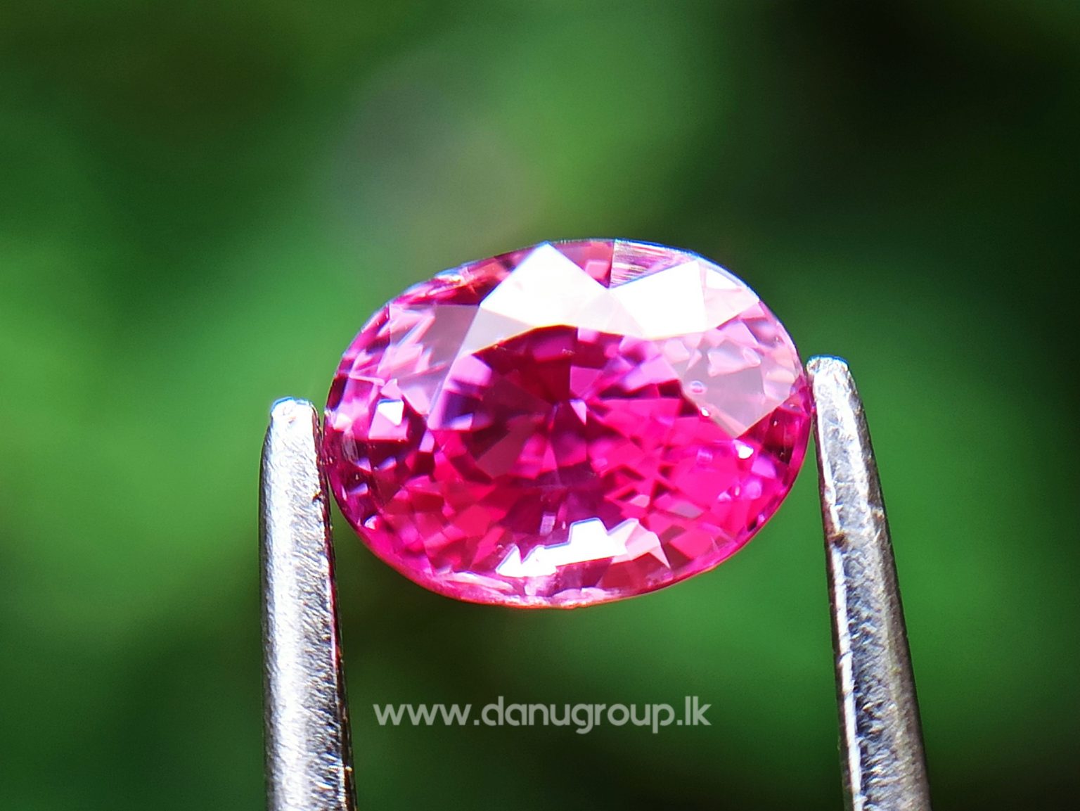 Remarkable Pink Colour In Ceylon Sapphire - Vivid Pink sapphire from Danu Group high quality ceylon sapphire - danugroup.lk