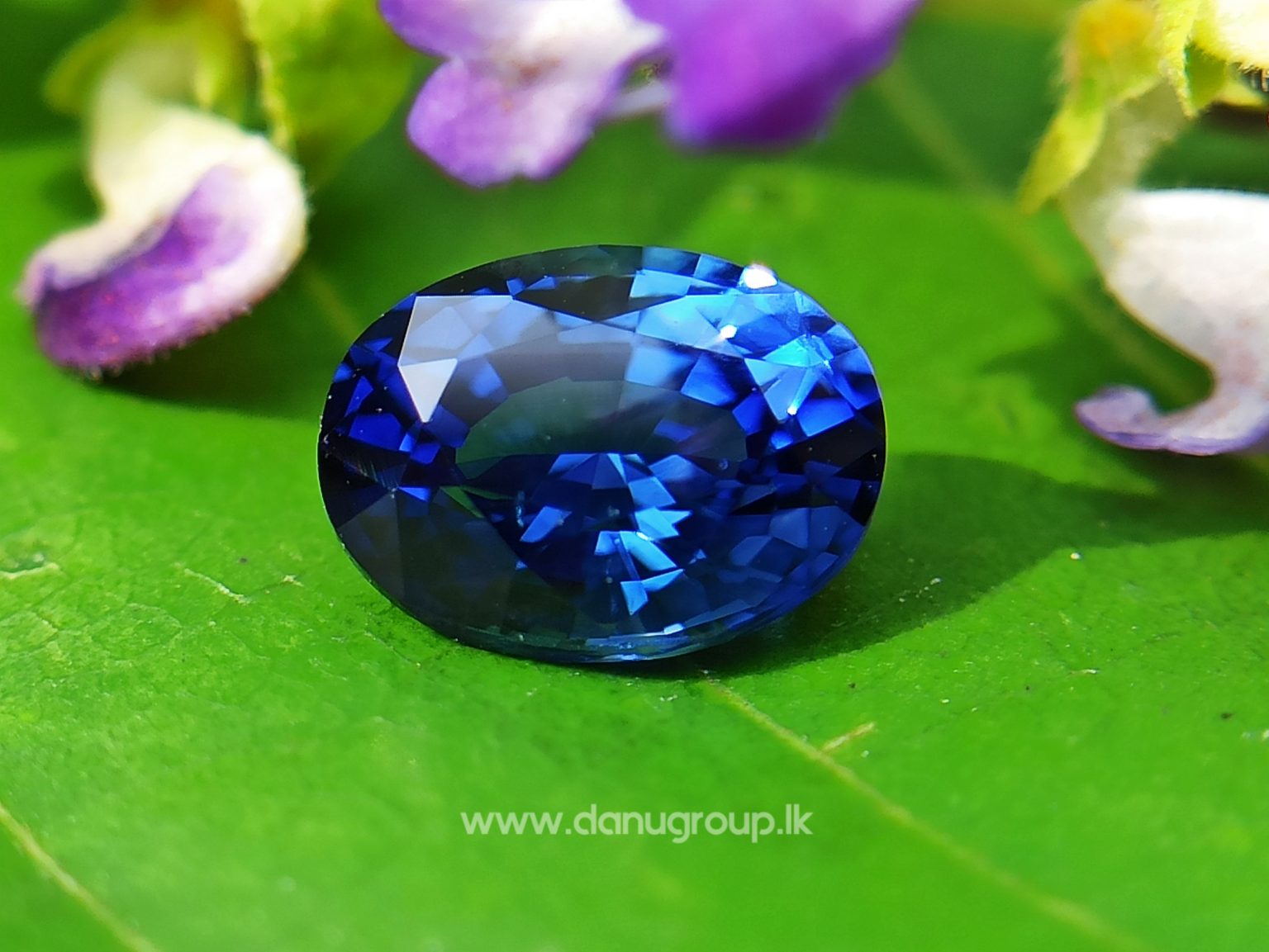 Remarkable Royal blue Colour in Sapphire - Vivid Royal Blue Sapphire Oval shape gem from Danu Group - danugroup.lk