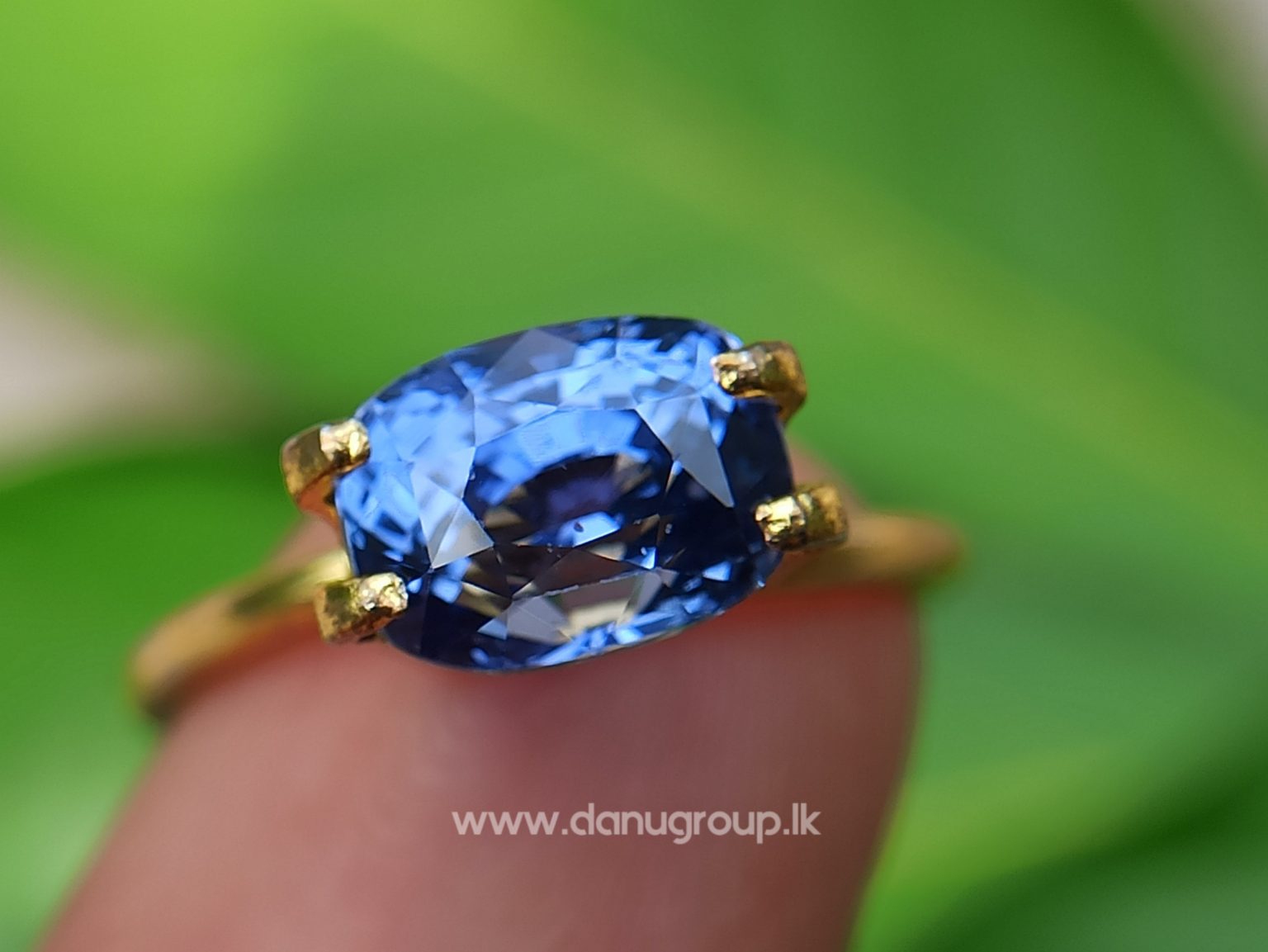 High Quality Ceylon Natural Cornflower Blue Sapphire Cushion Shape Unheated Stone from Danu Group Mining - danugroup.lk