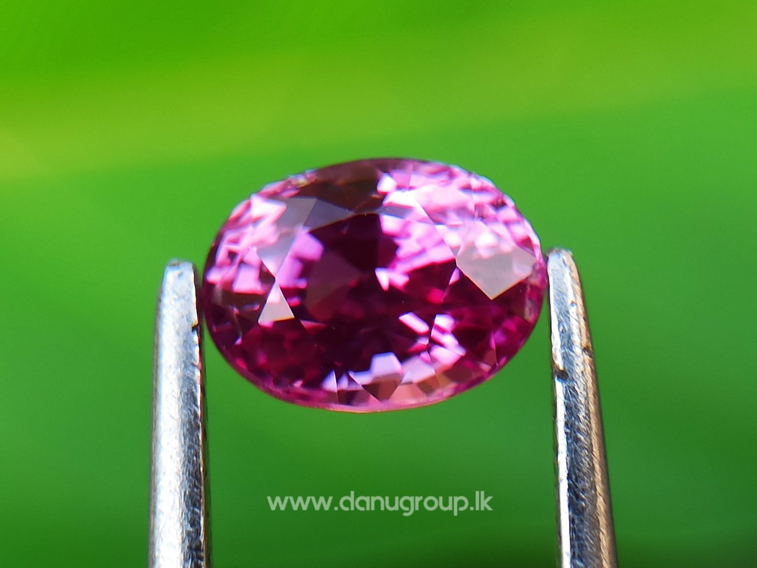 Remarkable Pink Colour In Ceylon Sapphire - Vivid Pink sapphire from Danu Group high quality ceylon sapphire - danugroup.lk