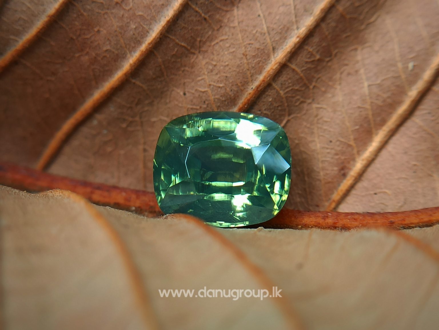 Ceylon Natural Green Zircon Danu Group Gemstones