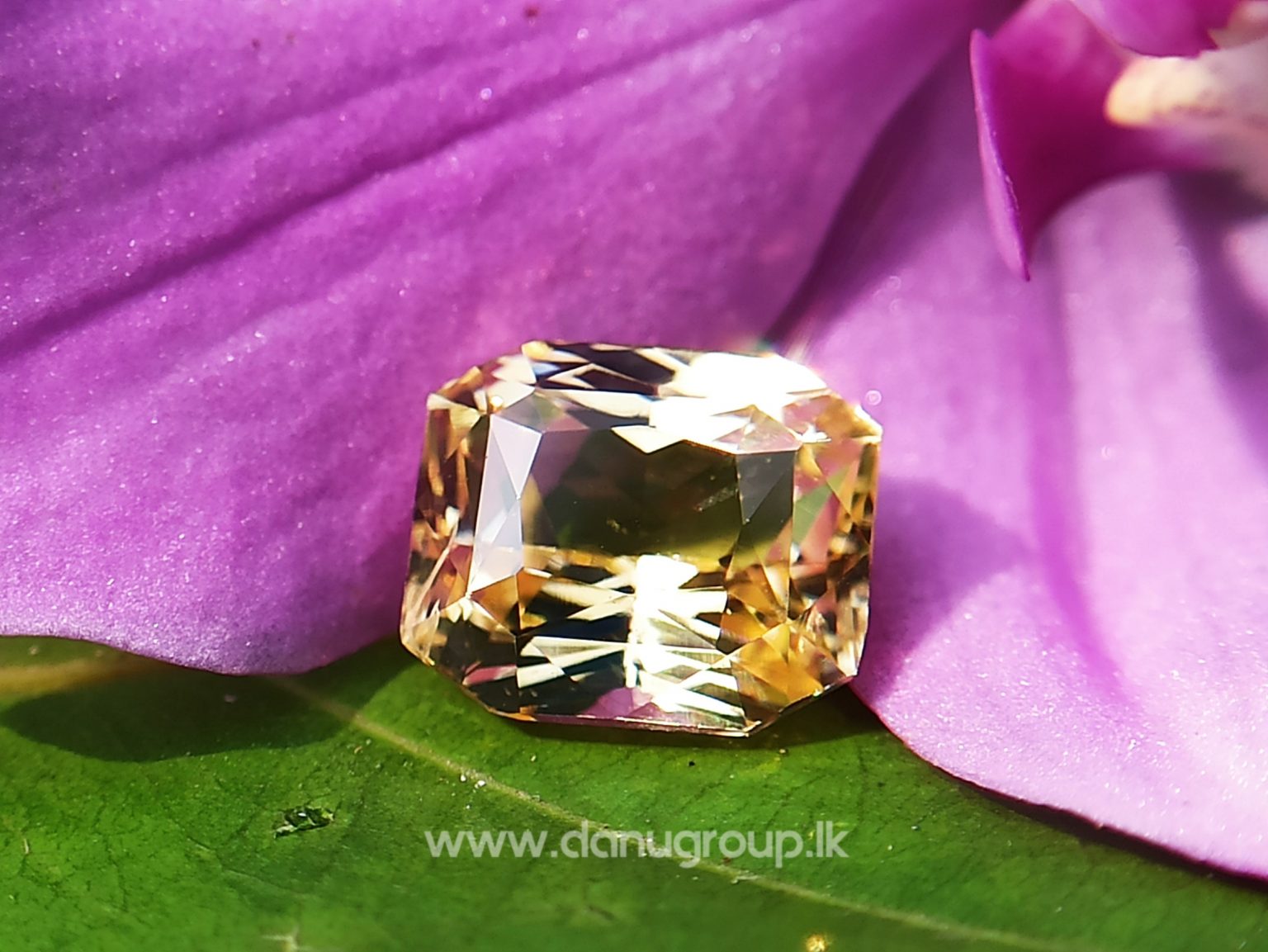Ceylon Natural Vivid Yellow Sapphire Scissors Cut High Quality Gemstone with Brilliance Lustre - danugroup.lk