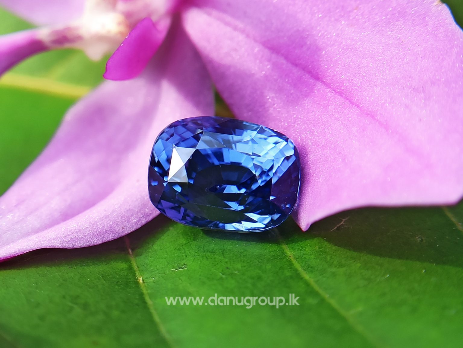 High Quality Ceylon Natural Cornflower Blue Sapphire Cushion Shape Unheated Stone from Danu Group Mining - danugroup.lk