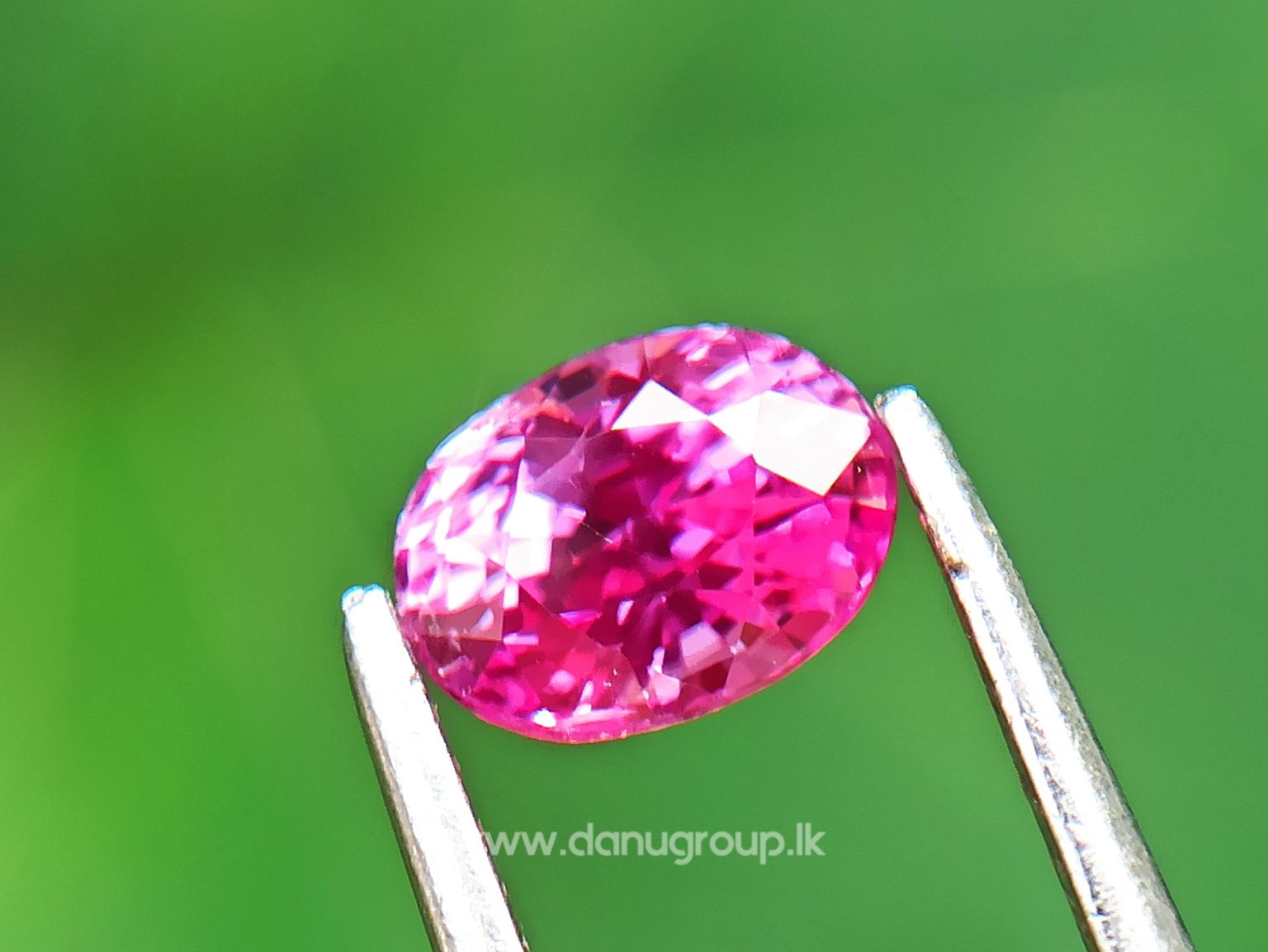 Remarkable Pink Colour In Ceylon Sapphire - Vivid Pink sapphire from Danu Group high quality ceylon sapphire - danugroup.lk
