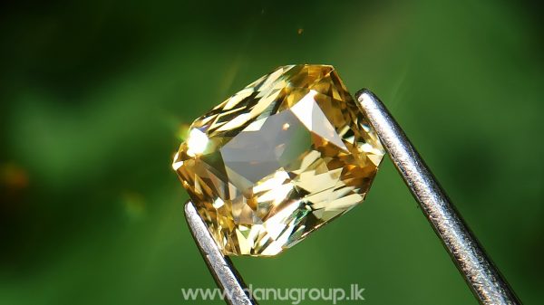 Ceylon Natural Vivid Yellow Sapphire Scissors Cut High Quality Gemstone with Brilliance Lustre - danugroup.lk