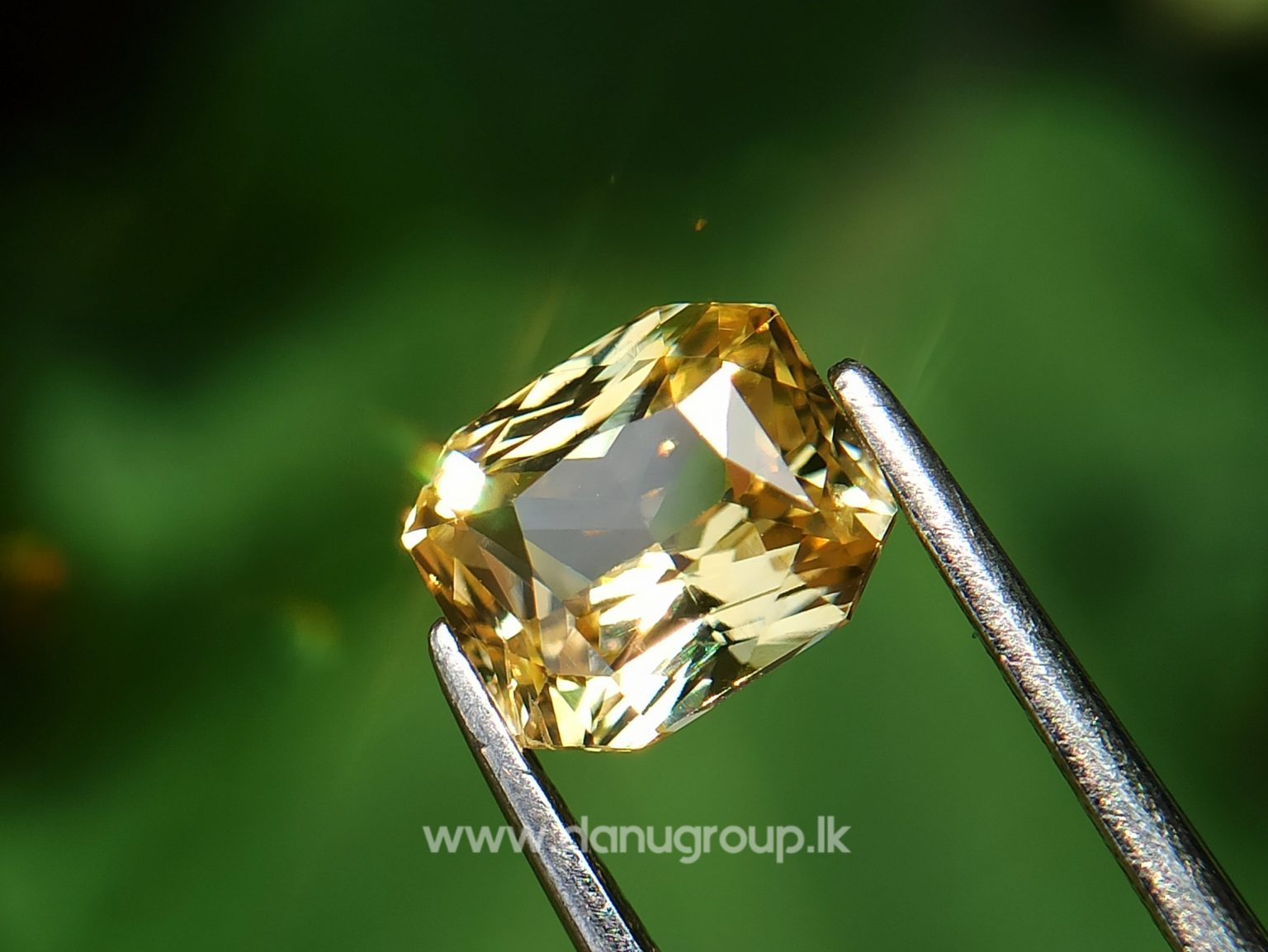 Ceylon Natural Vivid Yellow Sapphire Scissors Cut High Quality Gemstone with Brilliance Lustre - danugroup.lk