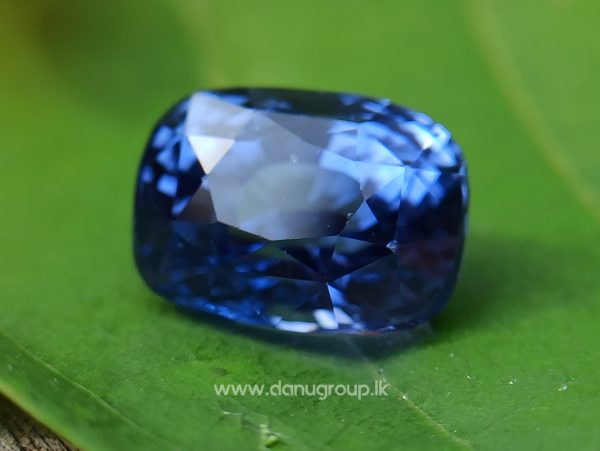 High Quality Ceylon Natural Cornflower Blue Sapphire Cushion Shape Unheated Stone from Danu Group Mining - danugroup.lk