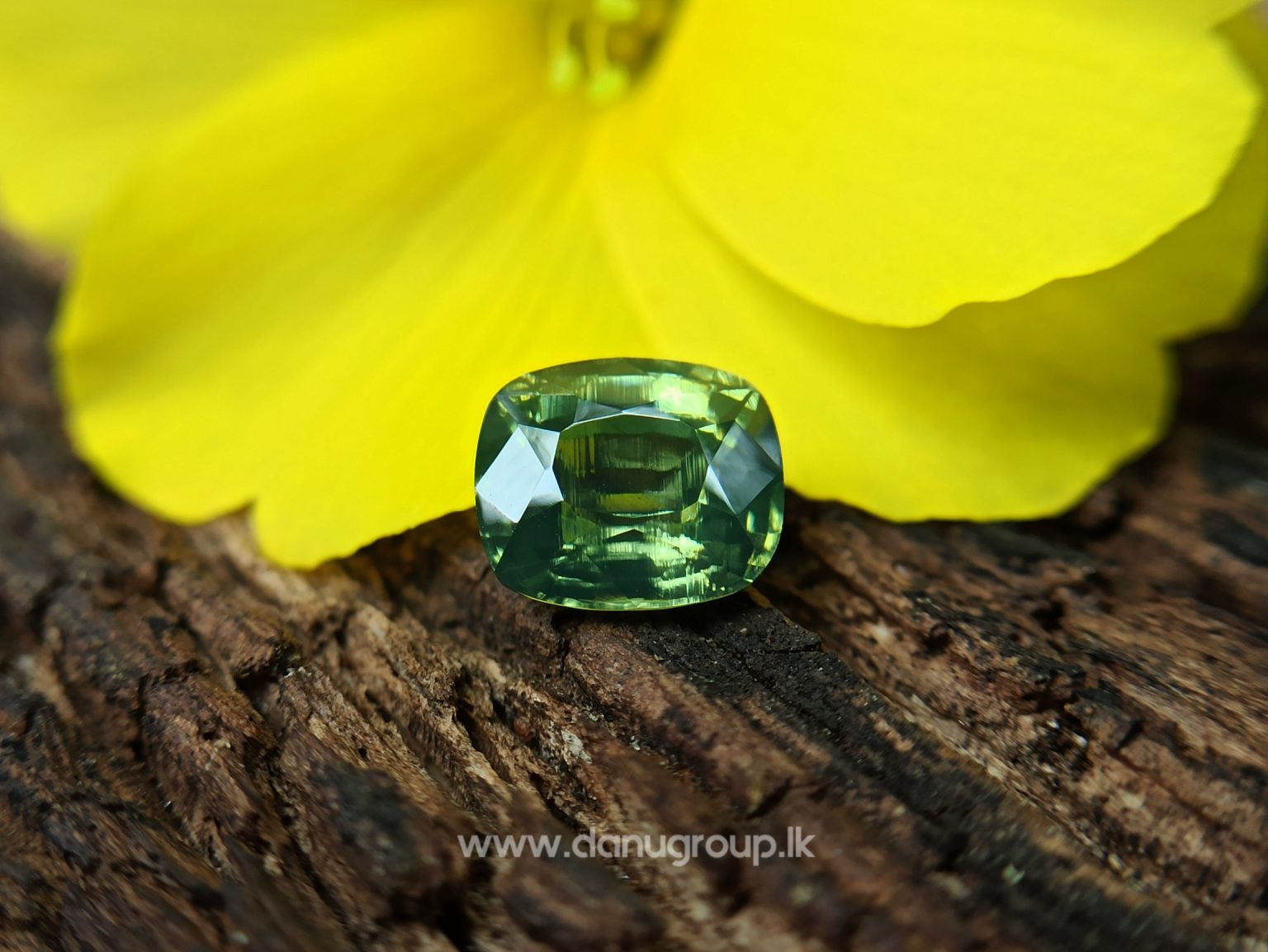 Ceylon Natural Green Zircon Danu Group Gemstones