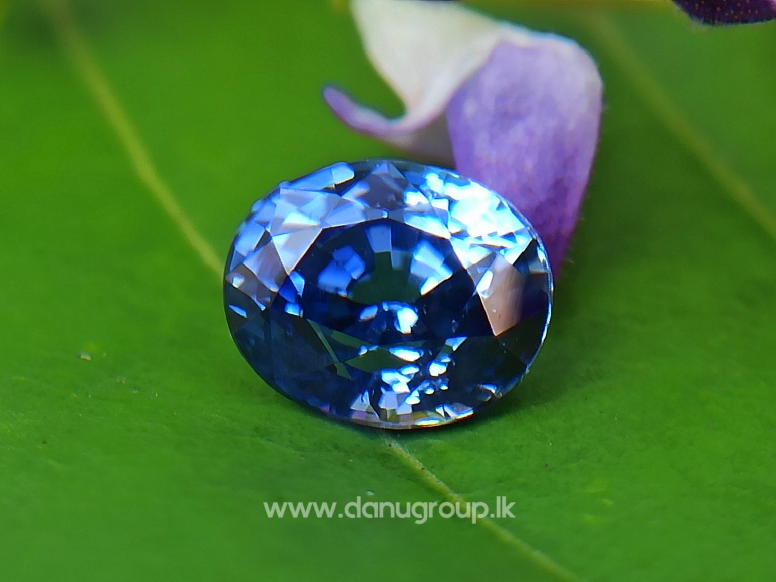 Ceylon Natural Vivid Blue Sapphire High Quality Blue Sapphire - danugroup.lk