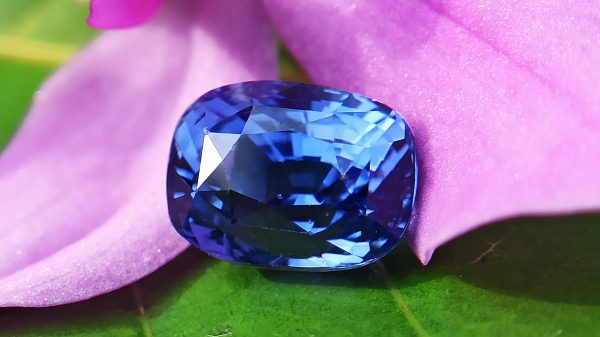 High Quality Ceylon Natural Cornflower Blue Sapphire Cushion Shape Unheated Stone from Danu Group Mining - danugroup.lk